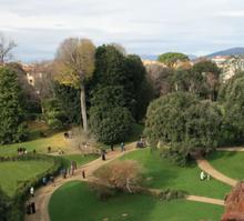 Apre per un giorno il Giardino della Gherardesca