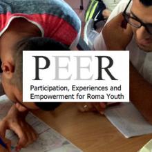 progetto Peer